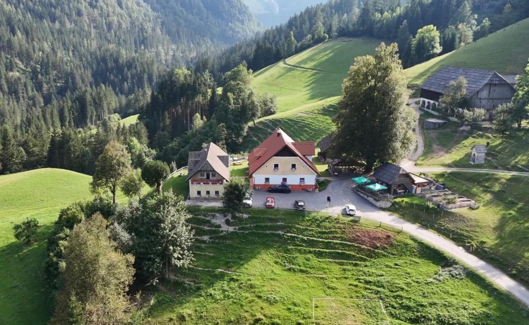 Tourist Farm Gradisnik Apartment โซลกาวา ภายนอก รูปภาพ