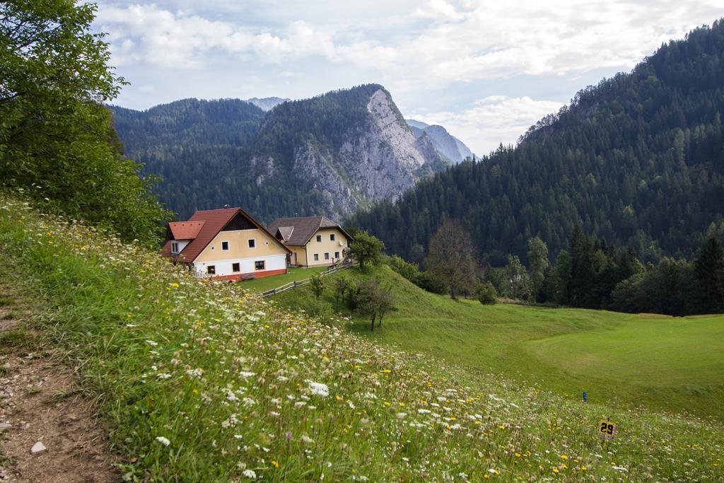 Tourist Farm Gradisnik Apartment โซลกาวา ภายนอก รูปภาพ