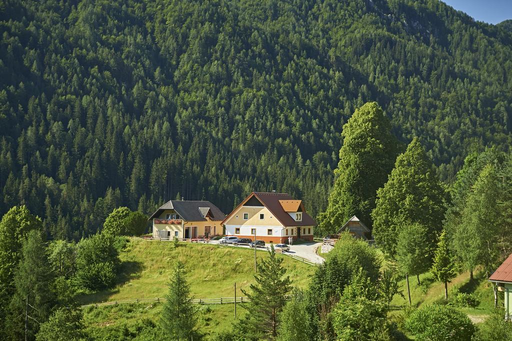 Tourist Farm Gradisnik Apartment โซลกาวา ภายนอก รูปภาพ