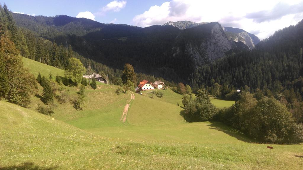 Tourist Farm Gradisnik Apartment โซลกาวา ภายนอก รูปภาพ